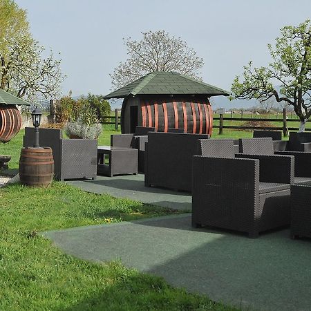 Klet Cinkus Bed & Breakfast Hrvatski Leskovac Luaran gambar
