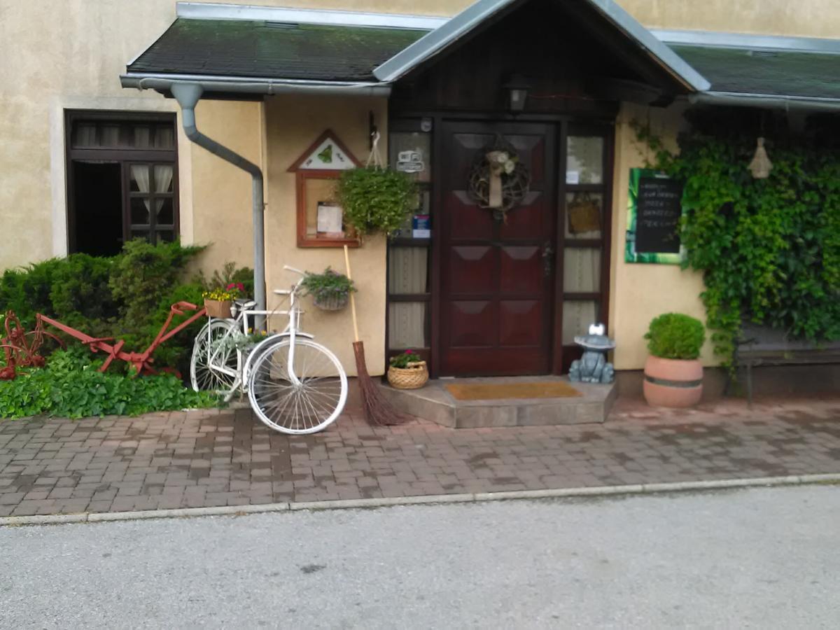 Klet Cinkus Bed & Breakfast Hrvatski Leskovac Luaran gambar