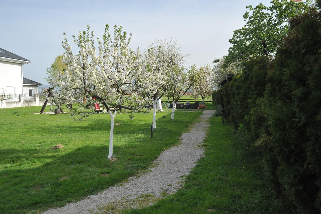 Klet Cinkus Bed & Breakfast Hrvatski Leskovac Luaran gambar